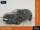 Cupra Terramar 2.0 TSI DSG HUD/AHK/PANO/NAV/Memory/RFK - Cupra Terramar mit Anhängerkupplung