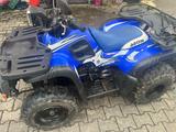 Aeon Cobra 180 - Quads bis 1.000 Euro