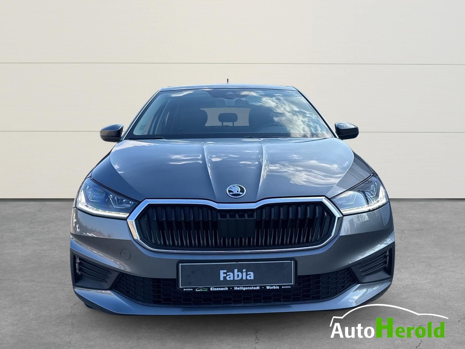Skoda Fabia 1.0 Tour Scheckheft FrSHZ SHZ