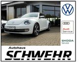 Volkswagen Beetle Cabriolet Design 1.2 TSI Allstar - Volkswagen Beetle: Allstar