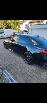 Alfa Romeo Giulia 2.9 V6 Bi-Turbo 375 kW Quadrifogl... - Alfa Romeo Giulia aus 2018