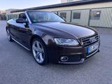 Audi A5 2.0 TFSI quattro 3XS-Line 20 Zol+19 Zol B&O - Audi A5: Braun, Cabrio