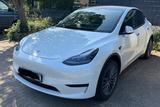 Tesla Model Y Hinterradantrieb RWD Unfallfrei/1.Hand