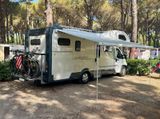 Roller Team Magnifico 298 - Offers matching your search criteria