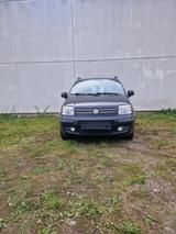 Fiat Panda - Fiat Panda Gebrauchtwagen in Bochum