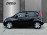 Fiat Pandina ICON Hybrid Parksensoren Klimanlage Blue - Fiat New Panda Benziner Gebrauchtwagen