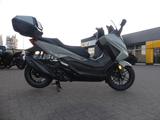 Honda Forza 350 ABS Modell 2025 incl. Anlieferung - HONDA FORZA 350