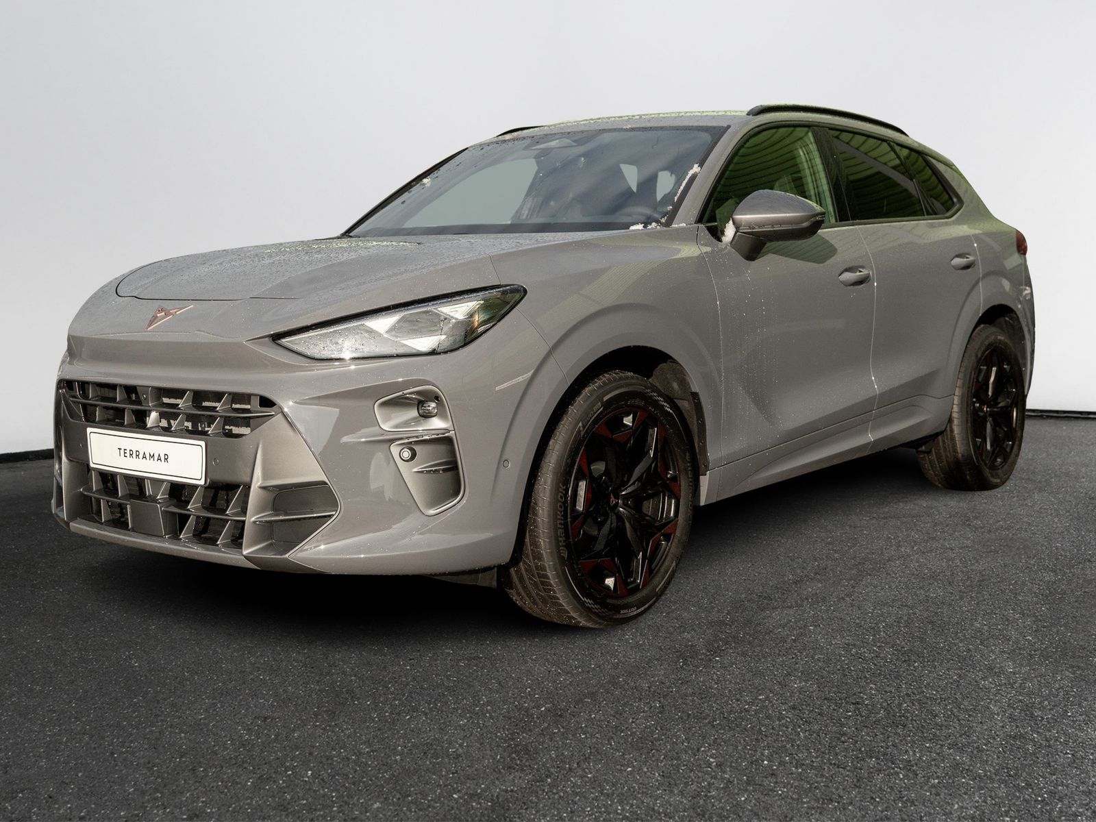 Cupra Terramar 2.0 TSI 4Drive W DCC AHK Kam. Navi 360 imagem 2