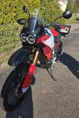 Ducati Desert X Rally + Sportpaket *Service NEU* - DUCATI X DESERT