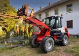 Terex TL 80  - Terex Radlader Tl 80