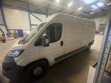Peugeot Boxer Transporter mit frischem TÜV - Peugeot Boxer in Bremen