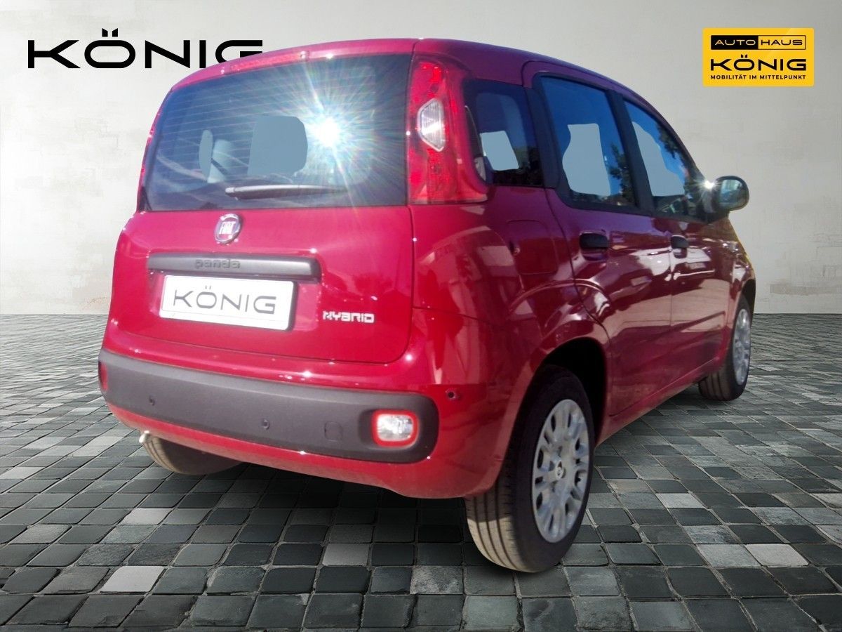 Fiat Panda - Bild 3