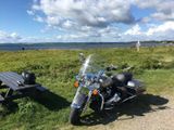 Harley-Davidson Road King FLHR