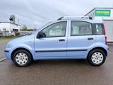 Fiat Panda 1.2 8V Dynamic - Fiat Panda aus 2010
