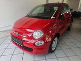 Fiat 500 Pop Klima Orig 22000KM Schnäppchen 7999Euro - : Schnäppchen