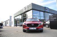 Mazda CX-30 - Vorschau Bild 2