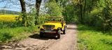 Jeep Wrangler Yj  mit H-Zulassung - Jeep Wrangler aus 1988