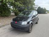 Fiat Panda**4X4** - Fiat Panda aus 2010: Allradantrieb