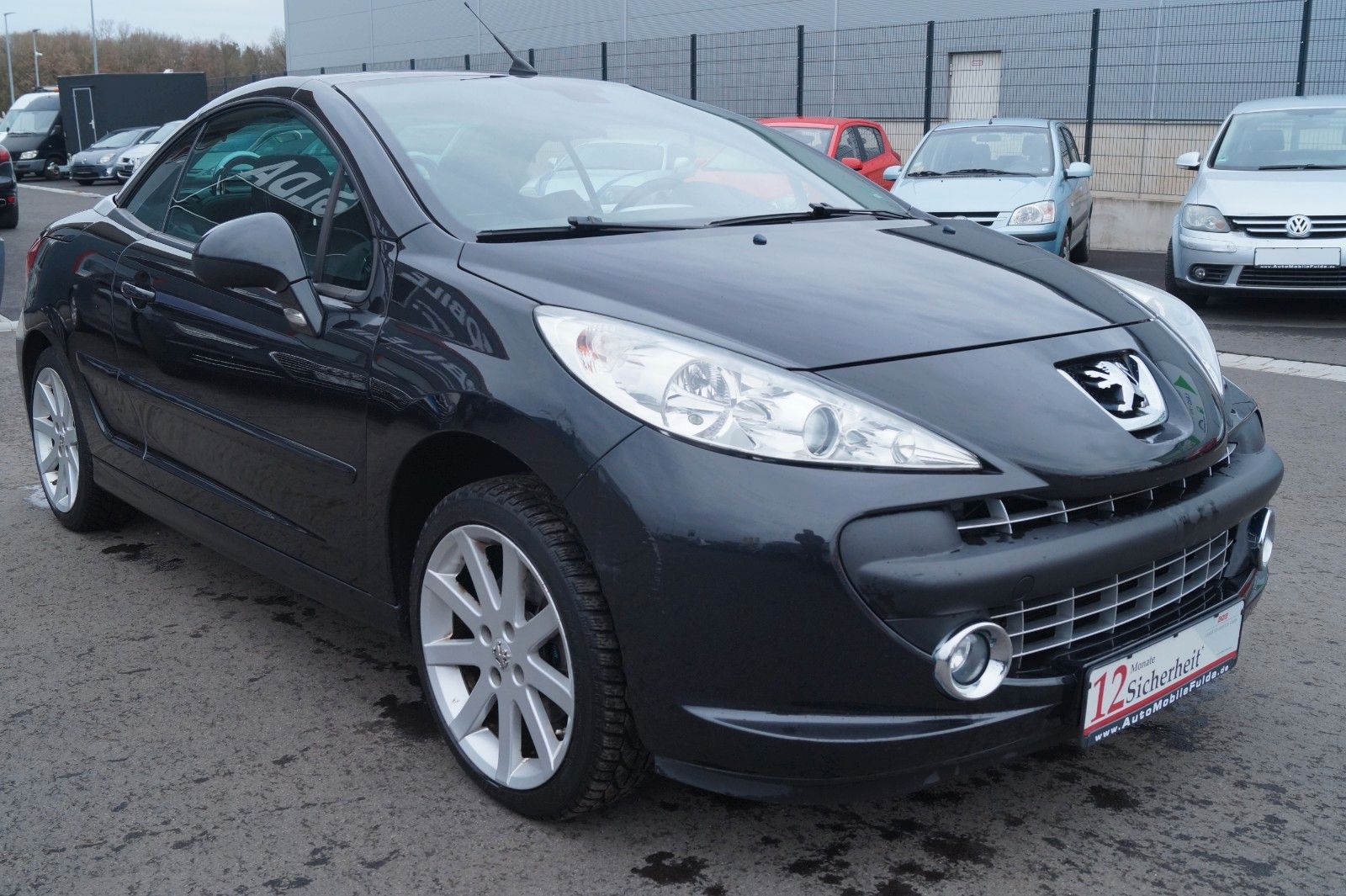 Fahrzeugabbildung Peugeot 207 CC Cabrio-Coupe Roland Garros