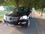 Mercedes-Benz Mercedes ml 350 cdi - gebrauchte Mercedes-Benz ML 350 aus dem Jahr 2008