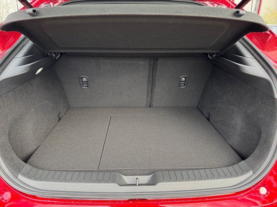 Fahrzeugabbildung Mazda CX-30 X 2.0i 186PS A/T Takumi SUNR BLOP