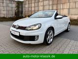 Volkswagen Golf 2.0 TSI GTI Cabriolet  Bi-XENON  1. Hand - Volkswagen Golf: Cabrio, GTI