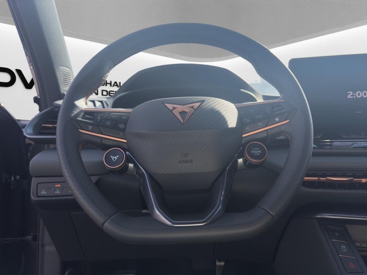 Cupra Terramar - Bild 12