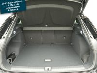 Cupra Terramar - Vorschau Bild 22