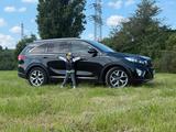 Kia Sorento 2.2 CRDi AWD Platinum - Kia Sorento in Duisburg