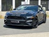 Ford Mustang 2.3 Ecoboost Shelby GT Bodykit 19zoll - Ford Mustang: Cabrio, Shelby