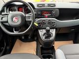 Fiat Panda Easy 1 Hand 51kW - Fiat Panda EASY mit Benzin-Antrieb