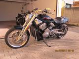 Harley-Davidson Street Rod - HARLEY-DAVIDSON STREET ROD