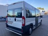 Fiat Ducato Maxi Hochdach Rollstuhlgerecht Klima CNG - Angebote entsprechen deinen Suchkriterien