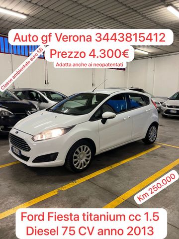 Ford Fiesta 1.5 TDCi 75CV 5 porte Titanium