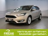 Ford Focus Cool & Connect +Sitz-&-Lenkradheiz.+Active - Ford: Gold