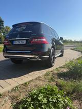 Mercedes-Benz ML 350 4MATIC BlueEFFICIENCY - - Mercedes-Benz ML 350 aus 2012