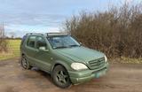 Mercedes-Benz Mercedes ML230 (W163), Tüv 01/28 - Mercedes-Benz ML 230 aus 1999