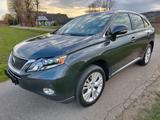 Lexus RX 450 450h Executive Line Executive Line - Lexus RX 450 Gebrauchtwagen
