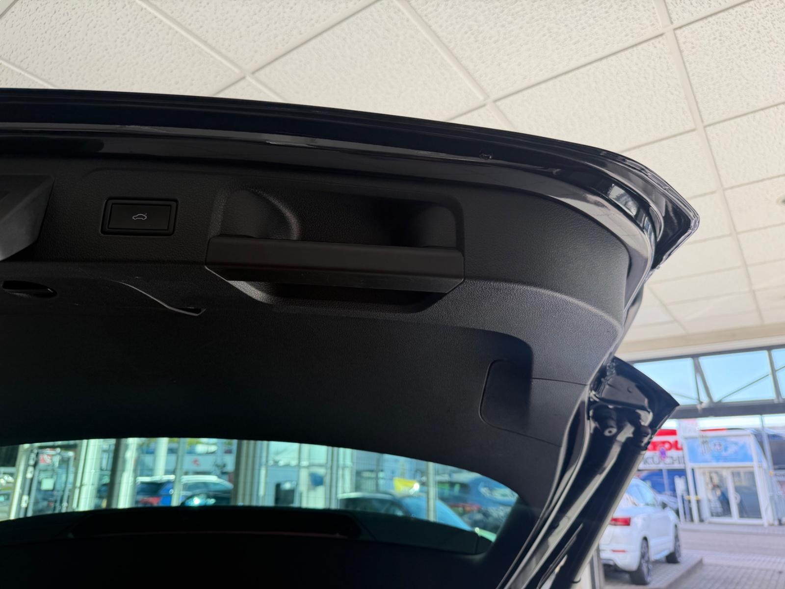 Volkswagen Passat R-Line NAPPA PANO MATRIX ACC TOP, миниатюра 12