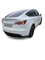 Tesla Model Y Long Range Dual AWD *20Zoll* - Tesla Model Y in Düsseldorf