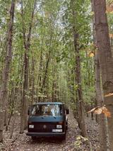 Volkswagen LT 28 - Volkswagen LT aus 1994