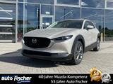 Mazda CX-30 2.0 (186PS) Schalter Exclusive 360* Navi C