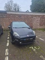 Fiat Punto 1.4 TüV Neu  - Fiat Punto Gebrauchtwagen in Köln