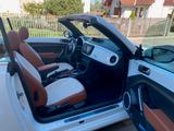 Volkswagen Beetle 1.4 TSI DSG CUP Cabriolet CUP - Volkswagen Beetle: Cup