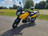 Suzuki DL1000 - Angebote