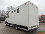 MAN TGL 12.180 4x2 DoKa 7-sitze Euro5 EEV | Pferde - MAN Schlepper 4p1