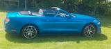 Ford Mustang 2.3 EcoBoost - viele Extras, wenig Km - Ford Mustang Gebrauchtwagen in Braunschweig