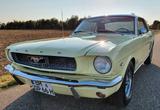 Ford Mustang V8 Coupe 1966 - Ford Gebrauchtwagen von 1966