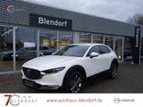 Mazda CX-30 Selection 186 Automatik BOSE|MatrixLED|360 - Mazda CX-30 in Essen