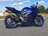 Yamaha YZF R3 - Akrapovič + Quickshifter - YAMAHA YZF R3